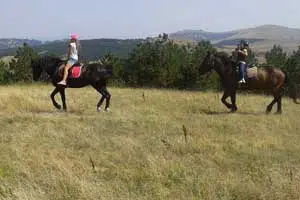 Planina Zlatibor