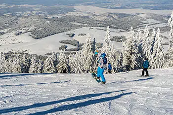 Planina Zlatibor