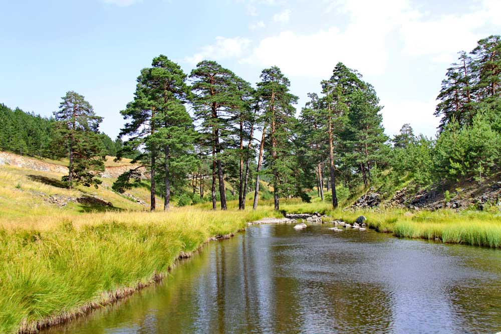 Sve o planini Zlatibor
