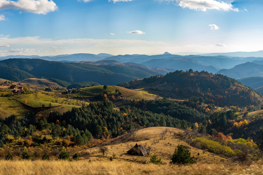 More ili Zlatibor? I zašto ipak Zlatibor..