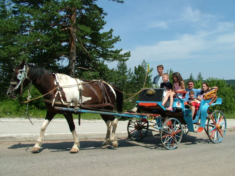 Zlatibor na jedan dan