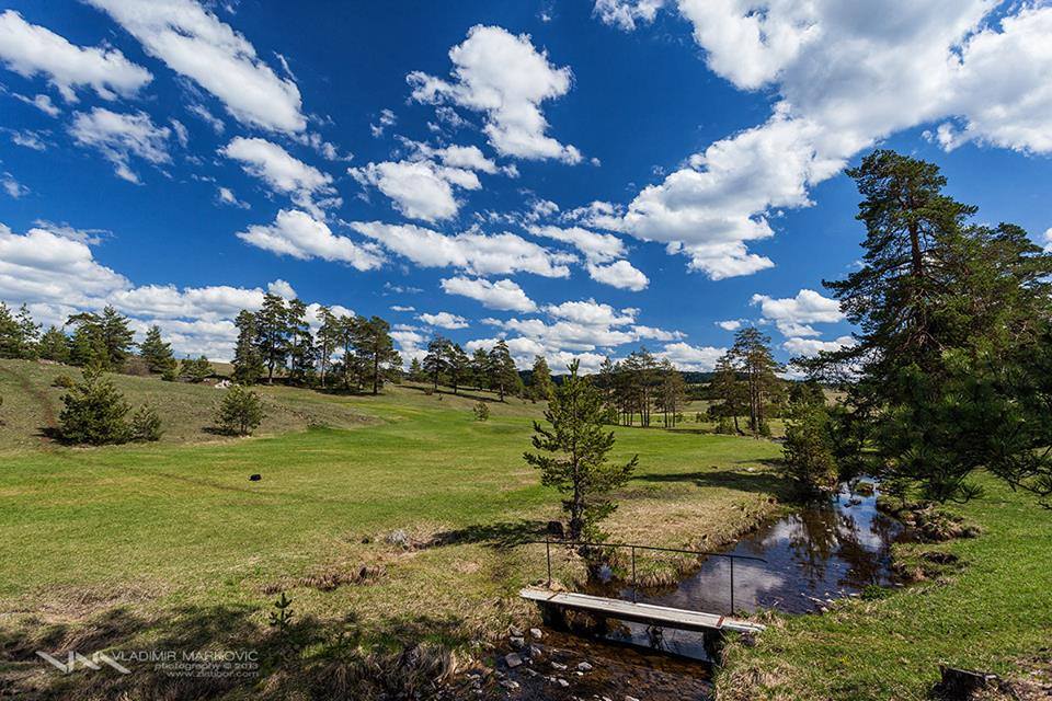 Zlatibor sa najlepših razglednica