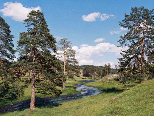 Jezera i reke Zlatibora