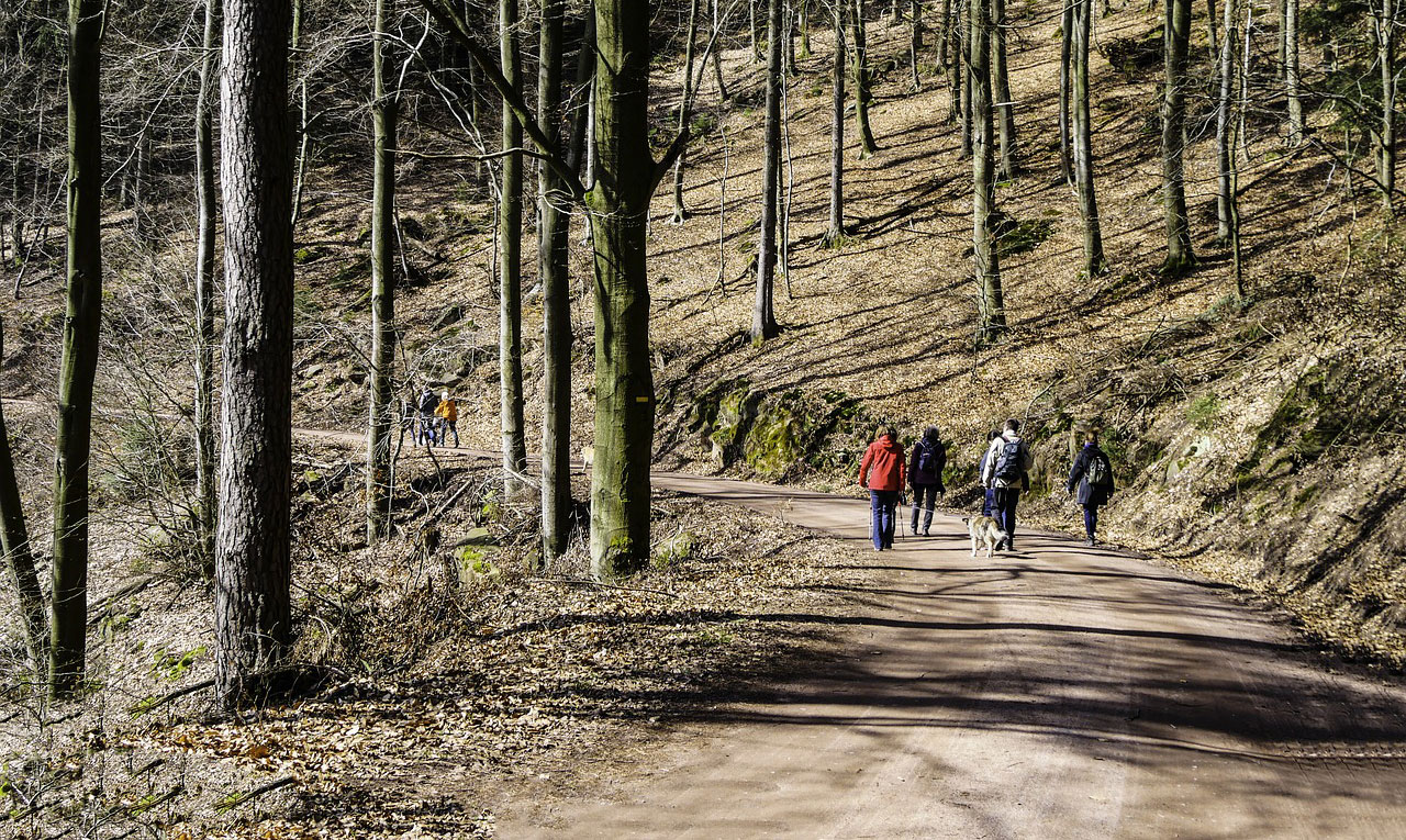 Zašto je boravak na Zlatiboru dobar za Vaše zdravlje?