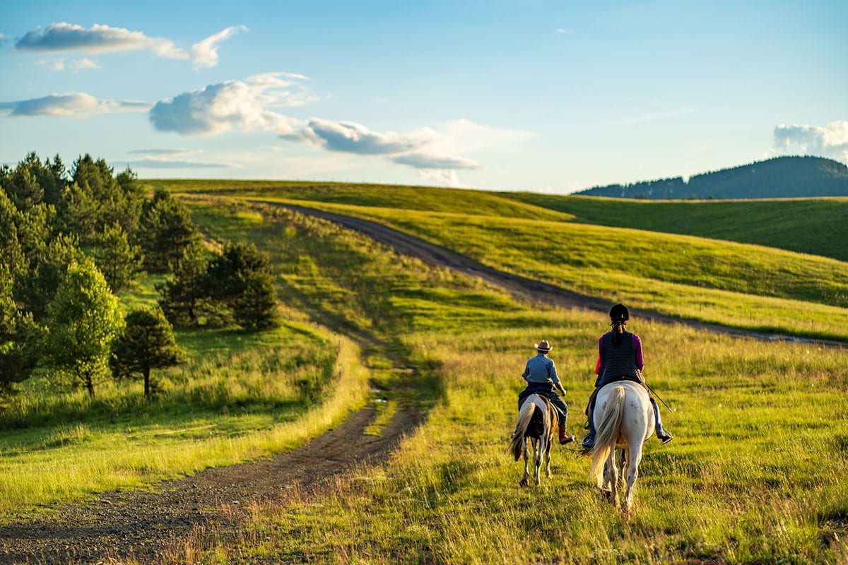 Jahanje konja na Zlatiboru – Preporod za dušu i telo