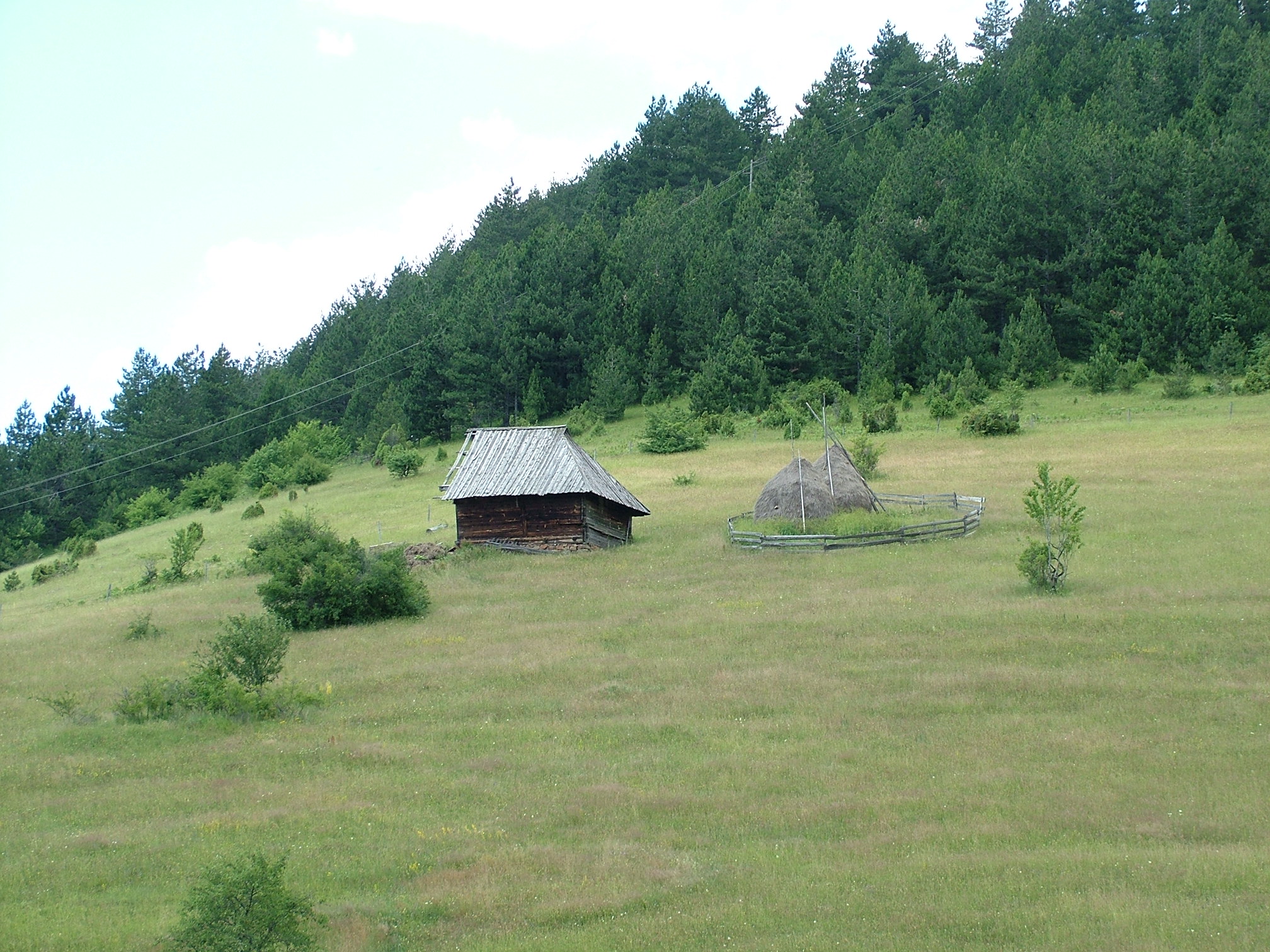 Pešačke staze na Zlatiboru