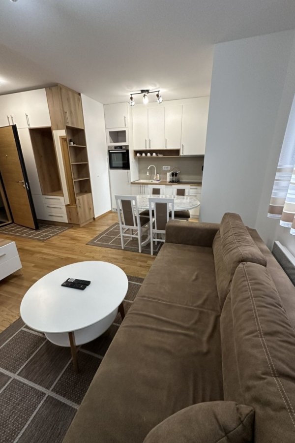Apartman Milnik